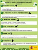 Infografía Gripe Aviar